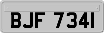BJF7341