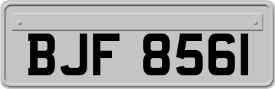 BJF8561