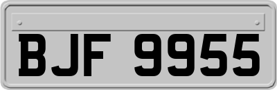BJF9955