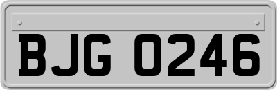 BJG0246