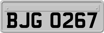 BJG0267