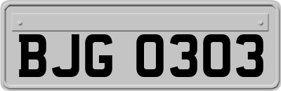 BJG0303
