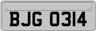 BJG0314