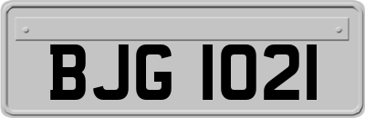 BJG1021