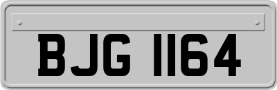 BJG1164