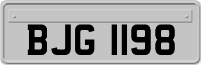 BJG1198