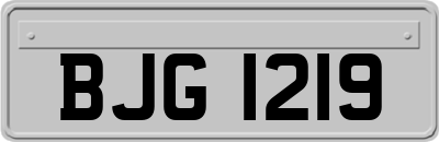 BJG1219
