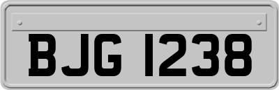 BJG1238