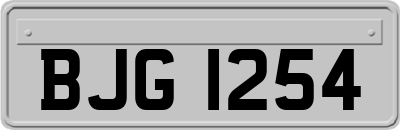 BJG1254