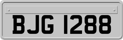 BJG1288