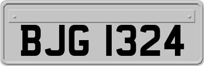 BJG1324