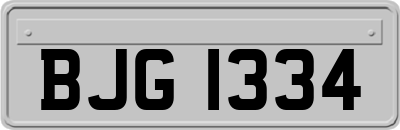 BJG1334