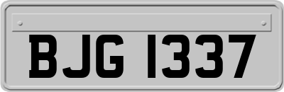 BJG1337