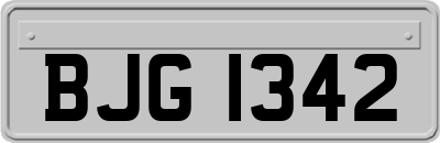 BJG1342