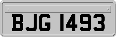 BJG1493