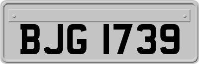 BJG1739