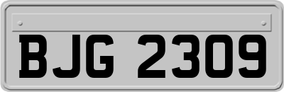 BJG2309
