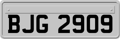 BJG2909