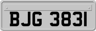 BJG3831