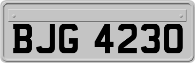 BJG4230