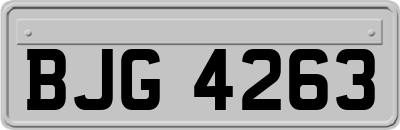 BJG4263