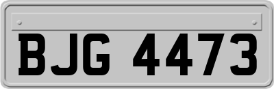 BJG4473
