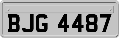 BJG4487