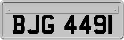 BJG4491