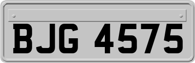 BJG4575