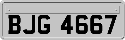 BJG4667