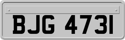 BJG4731