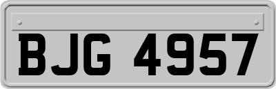 BJG4957