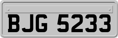 BJG5233