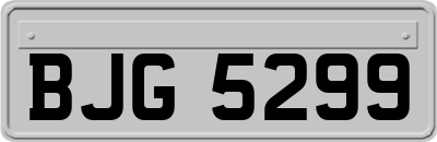 BJG5299