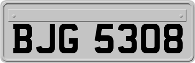 BJG5308