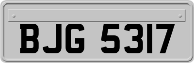 BJG5317