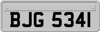 BJG5341
