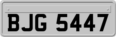 BJG5447