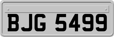 BJG5499