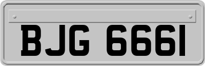 BJG6661