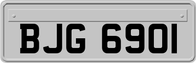 BJG6901
