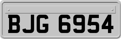 BJG6954