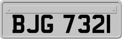 BJG7321