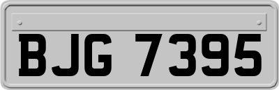 BJG7395