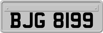BJG8199