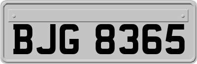 BJG8365