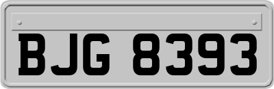 BJG8393