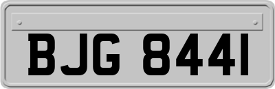 BJG8441