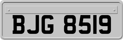 BJG8519