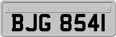 BJG8541